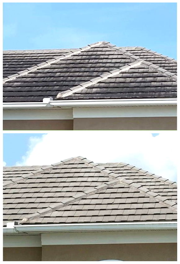 Roof Washing in Tampa